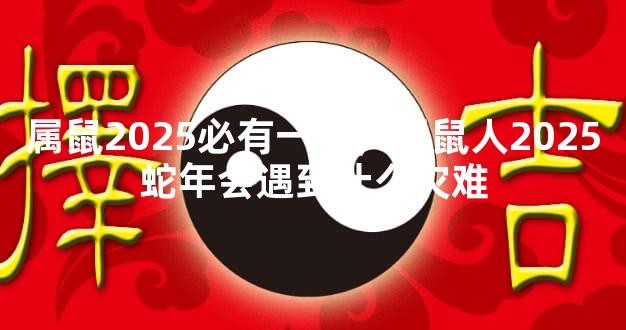属鼠2025必有一难，属鼠人2025蛇年会遇到什么灾难