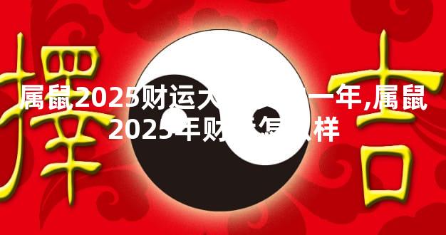属鼠2025财运大爆发的一年,属鼠2025年财运怎么样