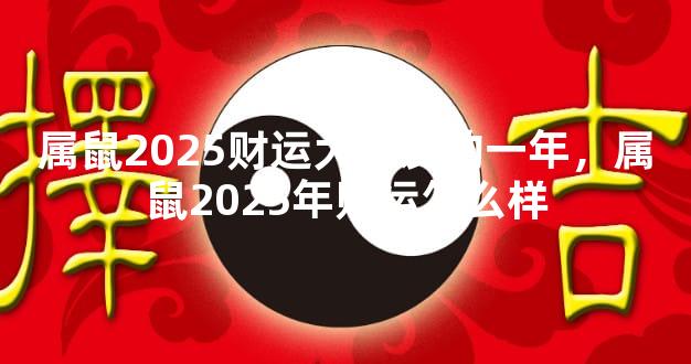 属鼠2025财运大爆发的一年，属鼠2025年财运怎么样