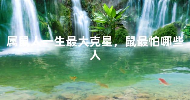 属鼠人一生最大克星，鼠最怕哪些人