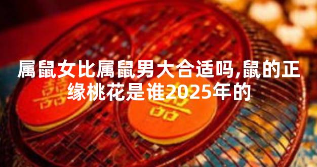 属鼠女比属鼠男大合适吗,鼠的正缘桃花是谁2025年的