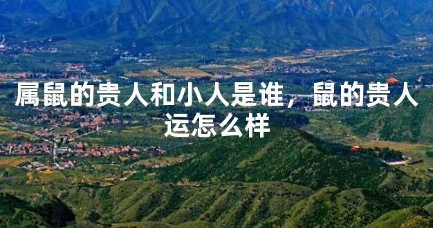 属鼠的贵人和小人是谁，鼠的贵人运怎么样