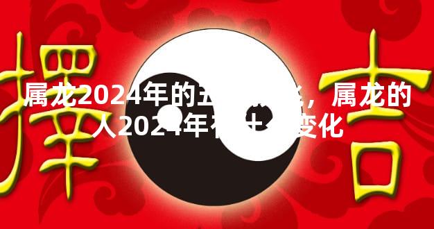 属龙2024年的五大预兆，属龙的人2024年有什么变化