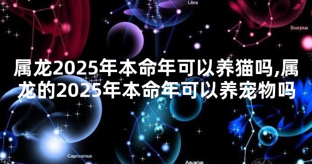 属龙2025年本命年可以养猫吗,属龙的2025年本命年可以养宠物吗