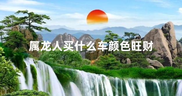 属龙人买什么车颜色旺财