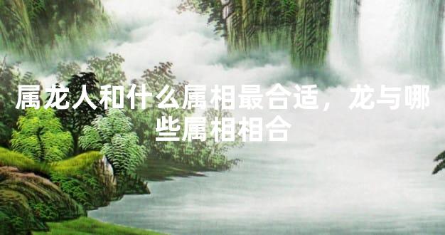 属龙人和什么属相最合适，龙与哪些属相相合
