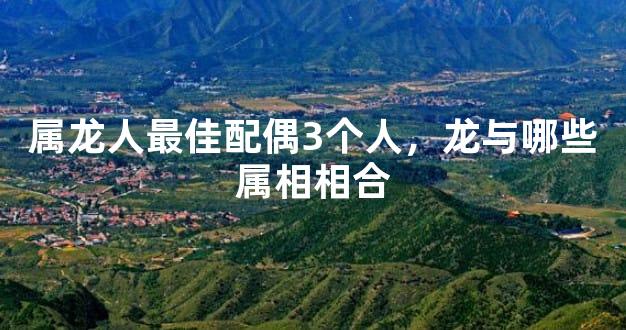 属龙人最佳配偶3个人，龙与哪些属相相合