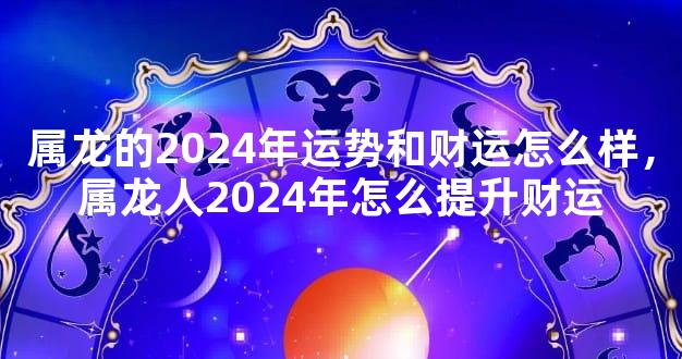 属龙的2024年运势和财运怎么样，属龙人2024年怎么提升财运