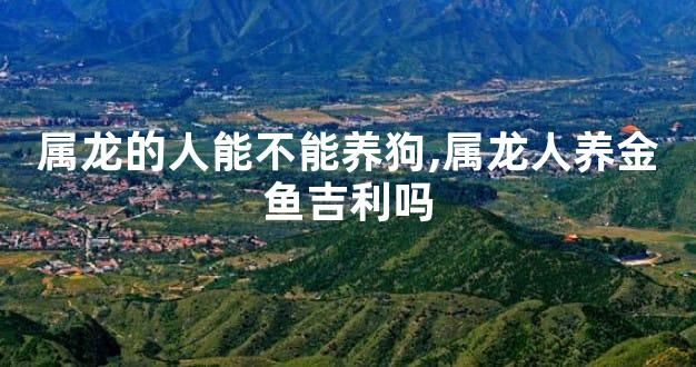 属龙的人能不能养狗,属龙人养金鱼吉利吗
