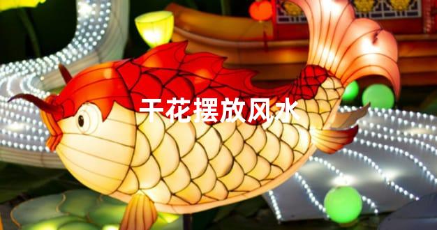 干花摆放风水