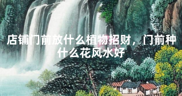 店铺门前放什么植物招财，门前种什么花风水好