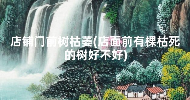 店铺门前树枯萎(店面前有棵枯死的树好不好)