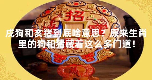 戌狗和亥猪到底啥意思？原来生肖里的狗和猪藏着这么多门道！