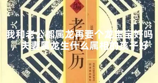 我和老公都属龙再要个龙宝宝好吗，夫妻属龙生什么属相的孩子好