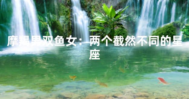 摩羯男双鱼女：两个截然不同的星座