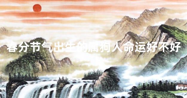 春分节气出生的属狗人命运好不好