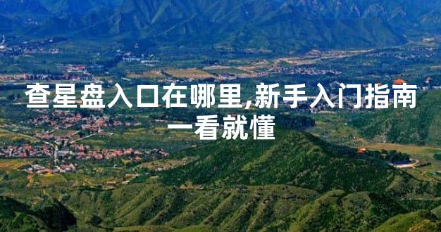 查星盘入口在哪里,新手入门指南一看就懂