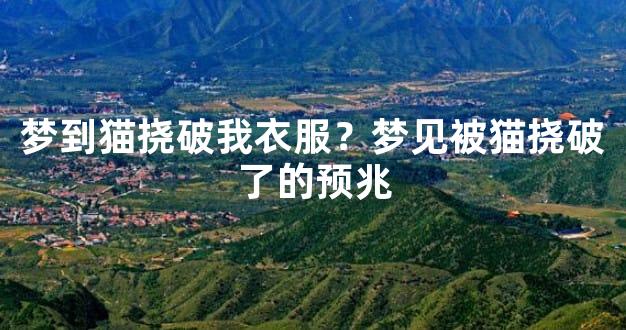 梦到猫挠破我衣服？梦见被猫挠破了的预兆