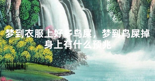 梦到衣服上好多鸟屎，梦到鸟屎掉身上有什么预兆