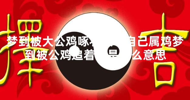梦到被大公鸡啄衣服？自己属鸡梦到被公鸡追着啄是什么意思