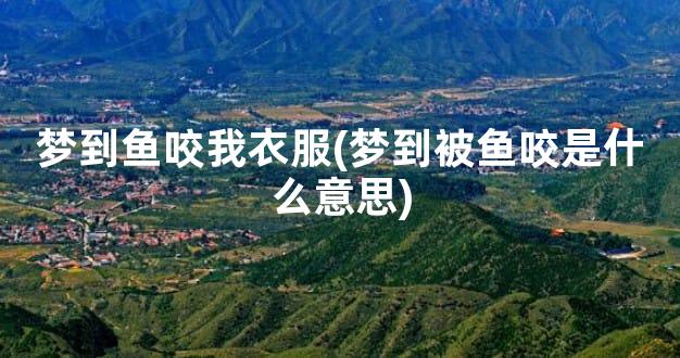 梦到鱼咬我衣服(梦到被鱼咬是什么意思)