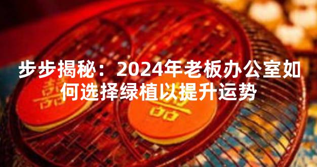 步步揭秘：2024年老板办公室如何选择绿植以提升运势