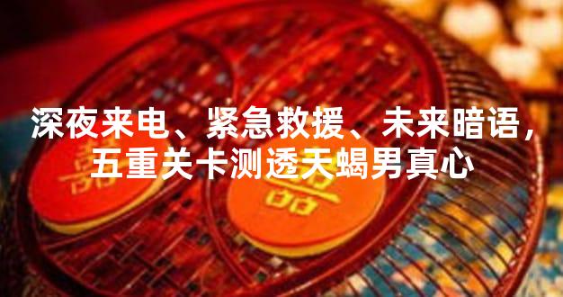 深夜来电、紧急救援、未来暗语，五重关卡测透天蝎男真心