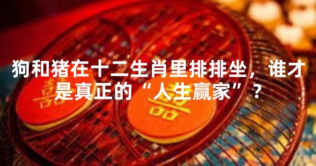 狗和猪在十二生肖里排排坐，谁才是真正的“人生赢家”？