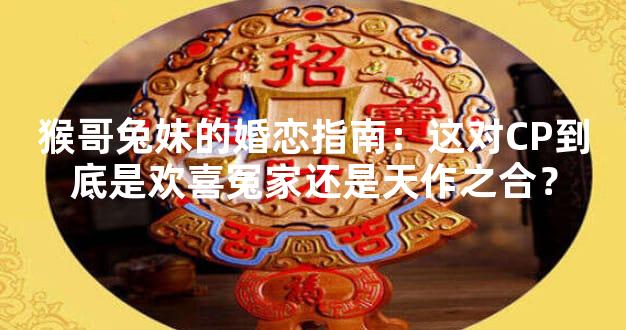 猴哥兔妹的婚恋指南：这对CP到底是欢喜冤家还是天作之合？