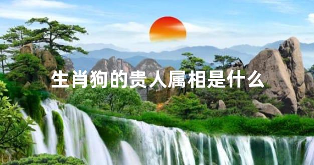 生肖狗的贵人属相是什么