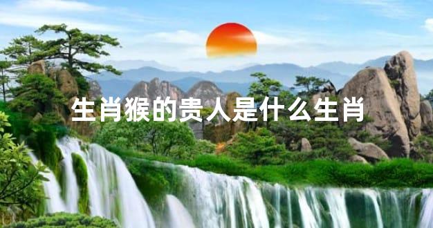 生肖猴的贵人是什么生肖