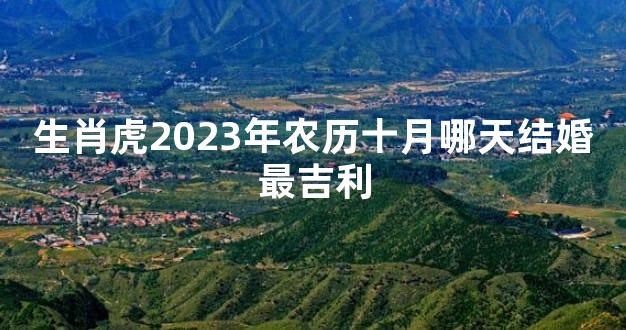 生肖虎2023年农历十月哪天结婚最吉利