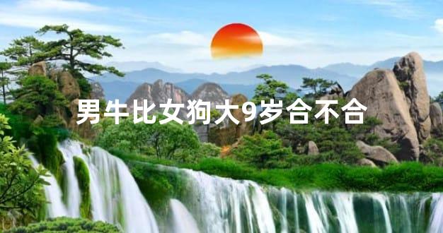 男牛比女狗大9岁合不合