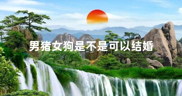 男猪女狗是不是可以结婚
