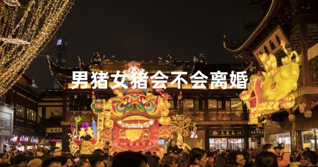 男猪女猪会不会离婚