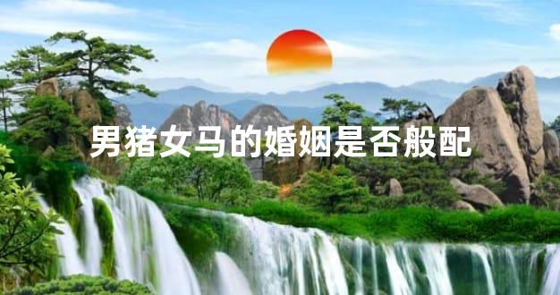 男猪女马的婚姻是否般配