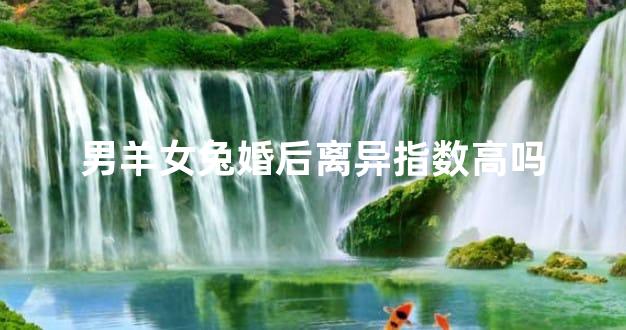 男羊女兔婚后离异指数高吗