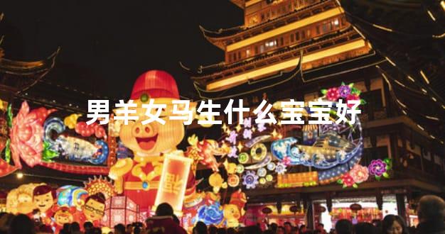 男羊女马生什么宝宝好