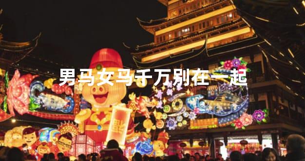男马女马千万别在一起