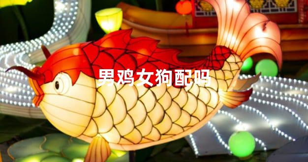 男鸡女狗配吗