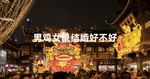 男鸡女鼠结婚好不好