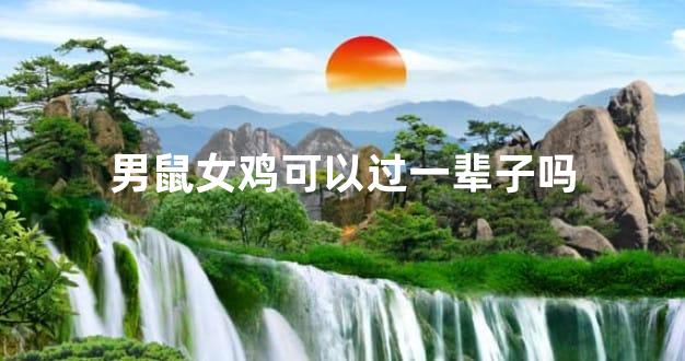 男鼠女鸡可以过一辈子吗