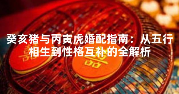 癸亥猪与丙寅虎婚配指南：从五行相生到性格互补的全解析