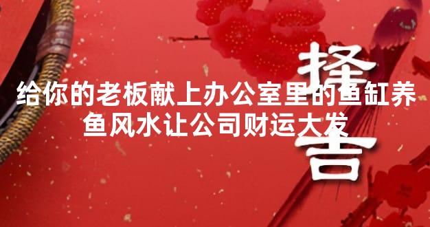 给你的老板献上办公室里的鱼缸养鱼风水让公司财运大发