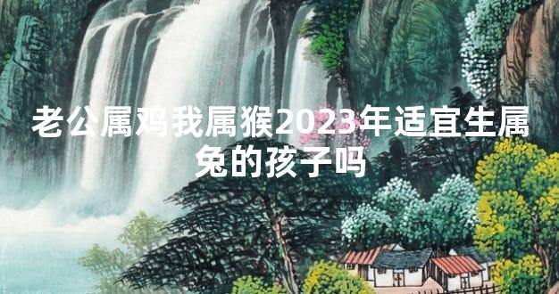 老公属鸡我属猴2023年适宜生属兔的孩子吗