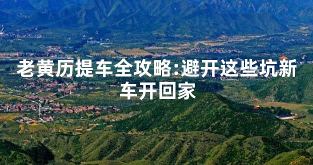 老黄历提车全攻略:避开这些坑新车开回家