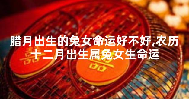 腊月出生的兔女命运好不好,农历十二月出生属兔女生命运