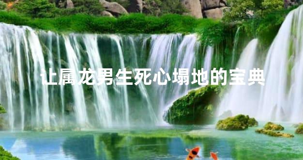 让属龙男生死心塌地的宝典