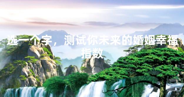 选一个字，测试你未来的婚姻幸福指数