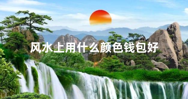 风水上用什么颜色钱包好